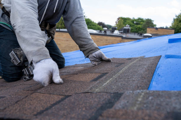 Best Gutter Installation and Roofing  in Moundridge, KS